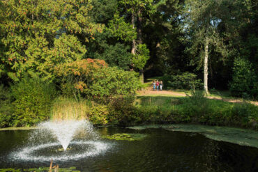 Reed Pond with its fountain, Streatham Campus